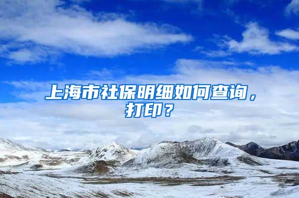 上海市社保明细如何查询，打印？