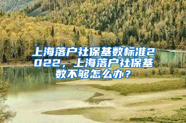 上海落户社保基数标准2022，上海落户社保基数不够怎么办？