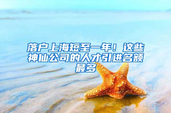 落户上海短至一年！这些神仙公司的人才引进名额最多