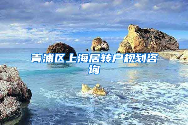 青浦区上海居转户规划咨询