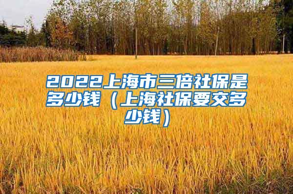 2022上海市三倍社保是多少钱（上海社保要交多少钱）