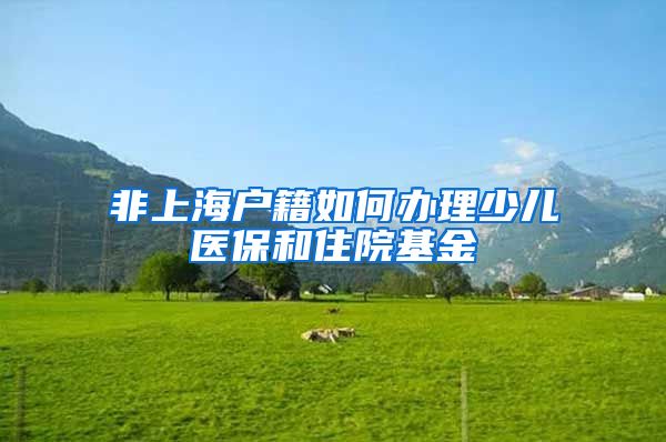 非上海户籍如何办理少儿医保和住院基金