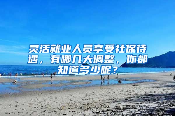 灵活就业人员享受社保待遇，有哪几大调整，你都知道多少呢？