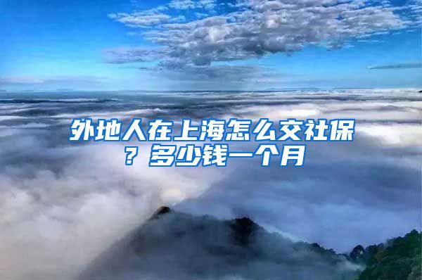 外地人在上海怎么交社保？多少钱一个月