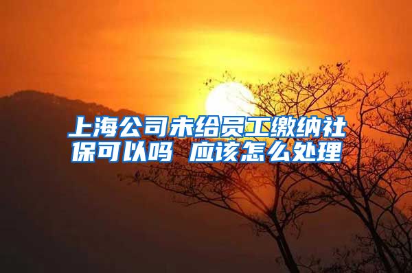 上海公司未给员工缴纳社保可以吗 应该怎么处理