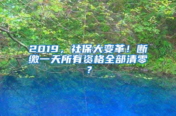 2019，社保大变革！断缴一天所有资格全部清零？