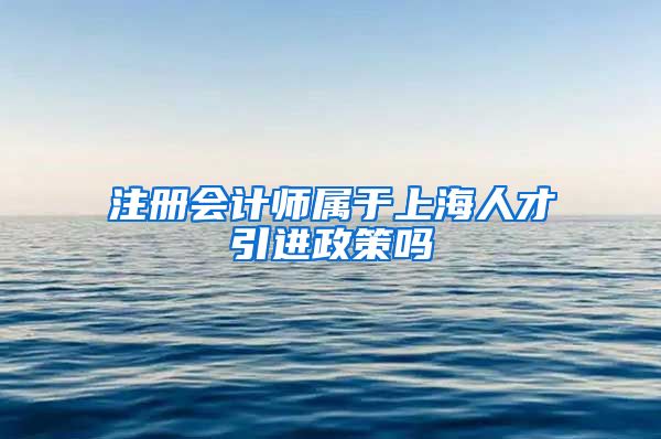 注册会计师属于上海人才引进政策吗