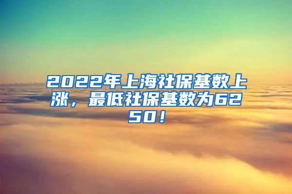 2022年上海社保基数上涨，最低社保基数为6250！