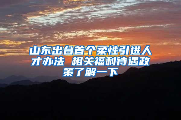 山东出台首个柔性引进人才办法 相关福利待遇政策了解一下