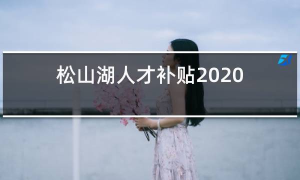 松山湖人才补贴2020年12月最后一批什么时候拨款图片