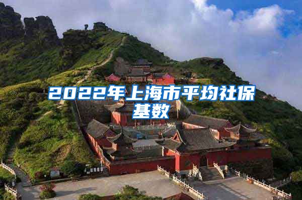 2022年上海市平均社保基数