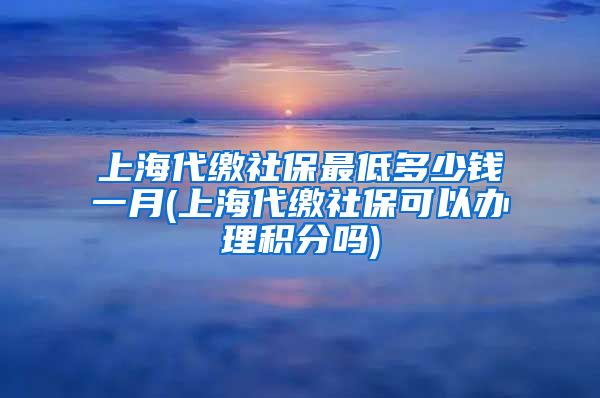 上海代缴社保最低多少钱一月(上海代缴社保可以办理积分吗)