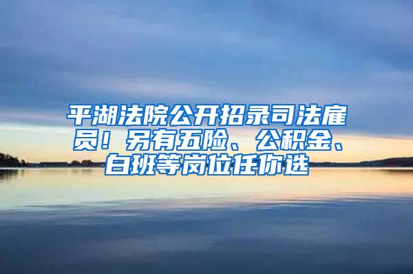 平湖法院公开招录司法雇员！另有五险、公积金、白班等岗位任你选