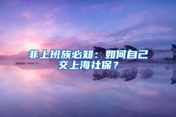 非上班族必知：如何自己交上海社保？