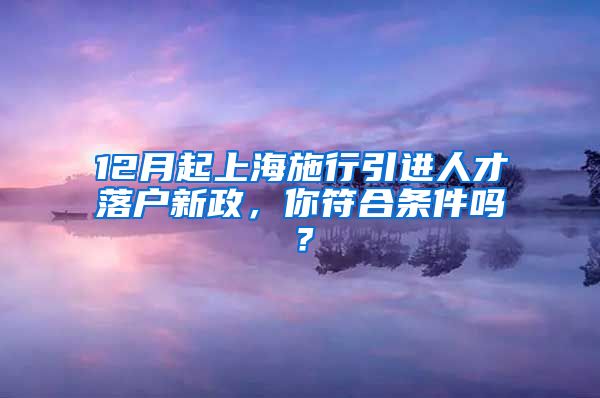 12月起上海施行引进人才落户新政，你符合条件吗？