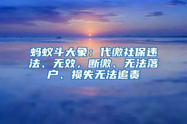 蚂蚁斗大象：代缴社保违法、无效，断缴、无法落户、损失无法追责