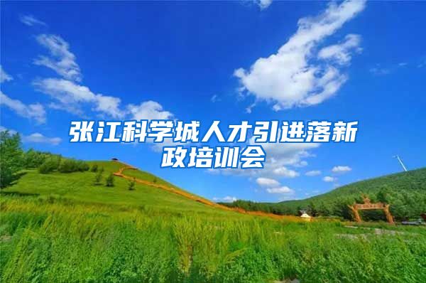 张江科学城人才引进落新政培训会