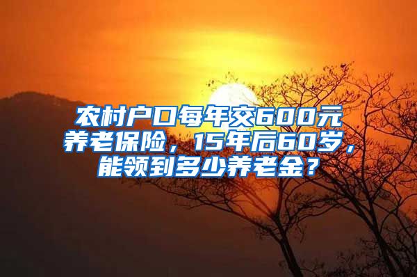 农村户口每年交600元养老保险，15年后60岁，能领到多少养老金？