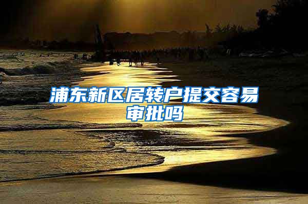 浦东新区居转户提交容易审批吗