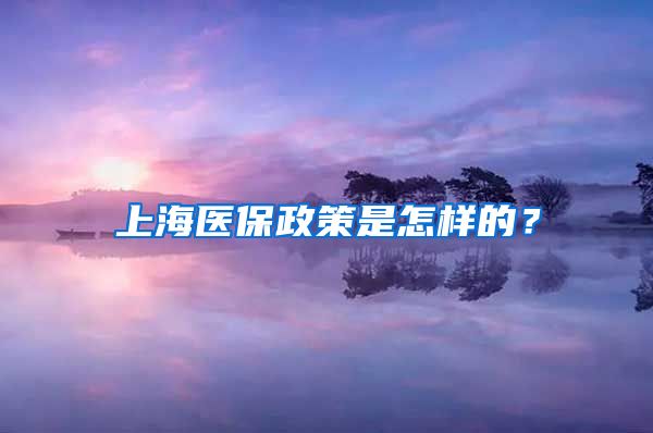 上海医保政策是怎样的？