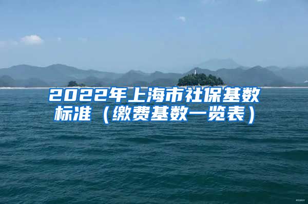 2022年上海市社保基数标准（缴费基数一览表）