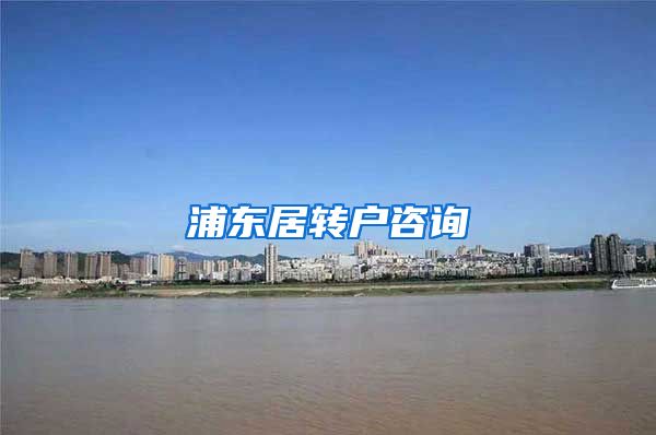 浦东居转户咨询