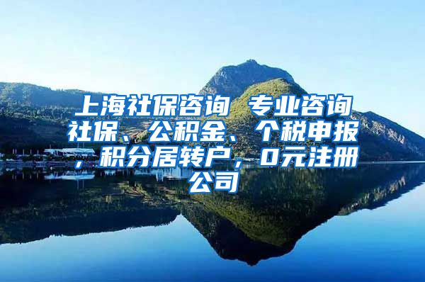 上海社保咨询 专业咨询社保、公积金、个税申报，积分居转户，0元注册公司