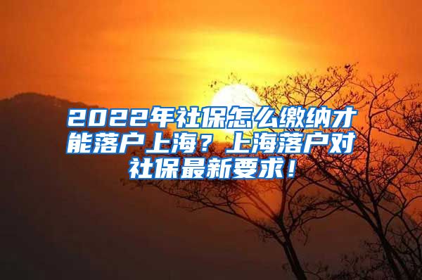 2022年社保怎么缴纳才能落户上海？上海落户对社保最新要求！