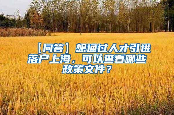 【问答】想通过人才引进落户上海，可以查看哪些政策文件？