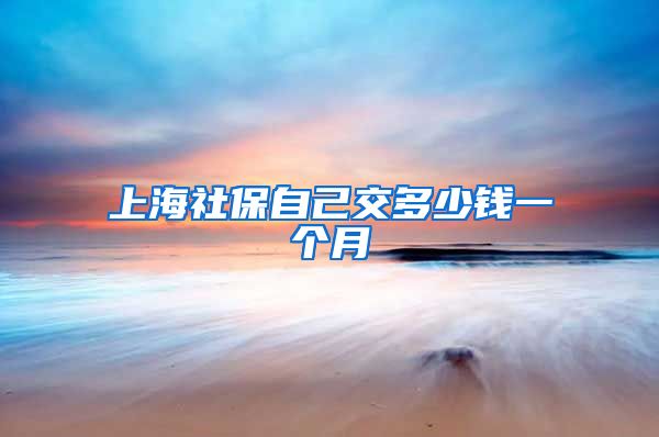 上海社保自己交多少钱一个月