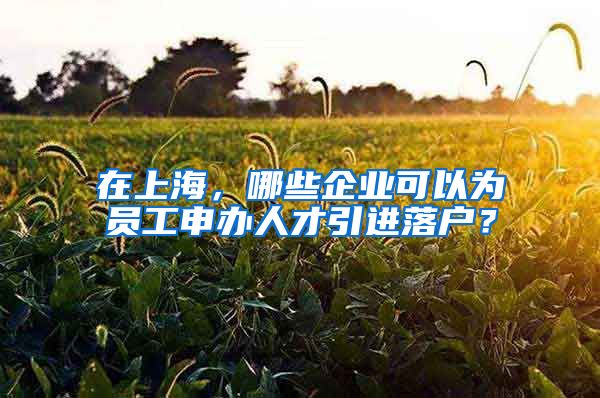 在上海，哪些企业可以为员工申办人才引进落户？