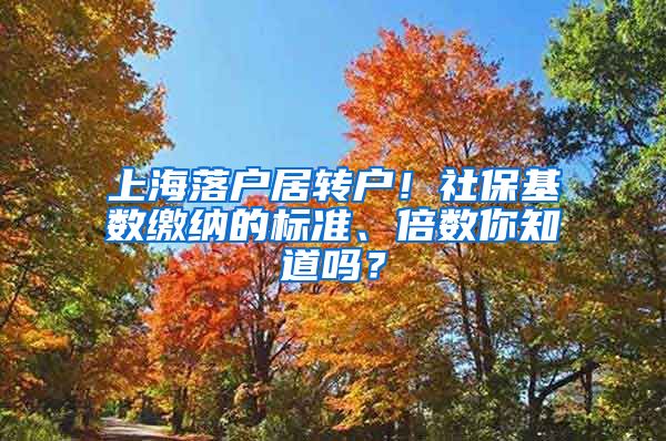 上海落户居转户！社保基数缴纳的标准、倍数你知道吗？