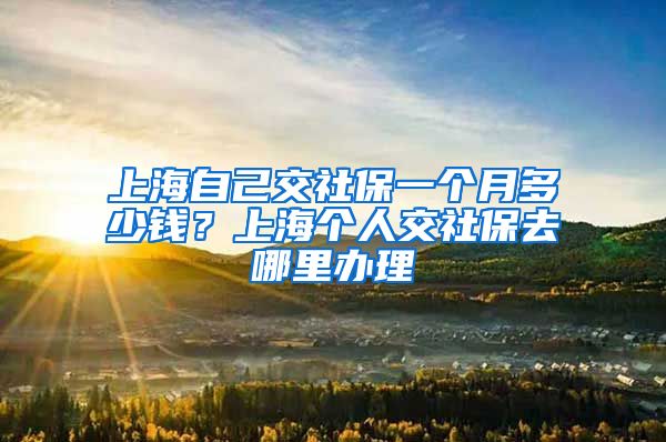 上海自己交社保一个月多少钱？上海个人交社保去哪里办理