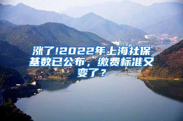 涨了!2022年上海社保基数已公布，缴费标准又变了？