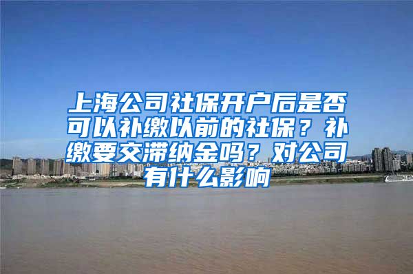 上海公司社保开户后是否可以补缴以前的社保？补缴要交滞纳金吗？对公司有什么影响