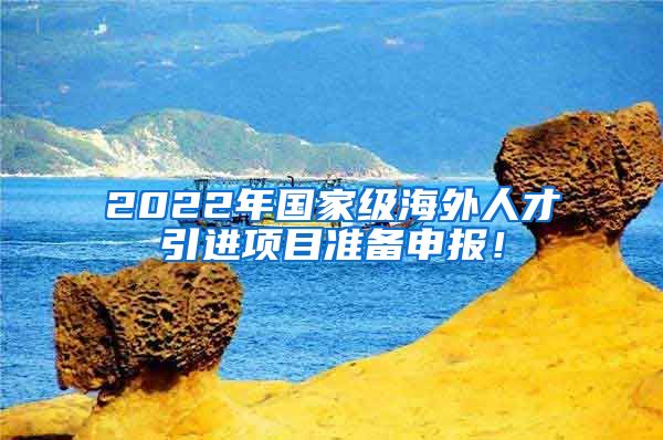 2022年国家级海外人才引进项目准备申报！