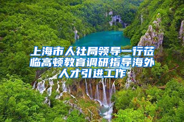 上海市人社局领导一行莅临高顿教育调研指导海外人才引进工作