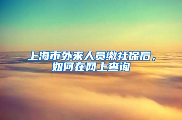 上海市外来人员缴社保后，如何在网上查询