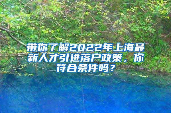 带你了解2022年上海最新人才引进落户政策，你符合条件吗？