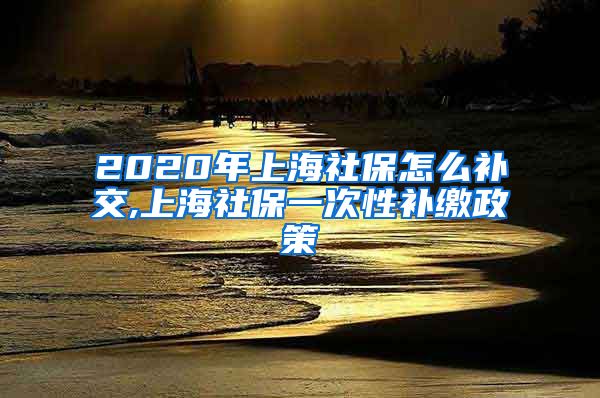 2020年上海社保怎么补交,上海社保一次性补缴政策