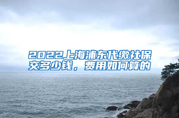 2022上海浦东代缴社保交多少钱，费用如何算的