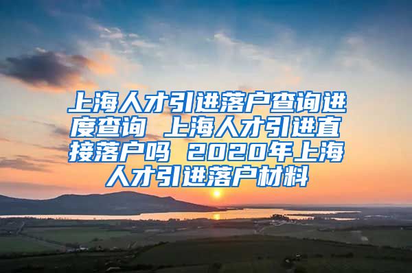 上海人才引进落户查询进度查询 上海人才引进直接落户吗 2020年上海人才引进落户材料