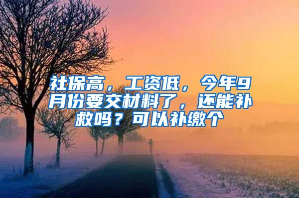 社保高，工资低，今年9月份要交材料了，还能补救吗？可以补缴个