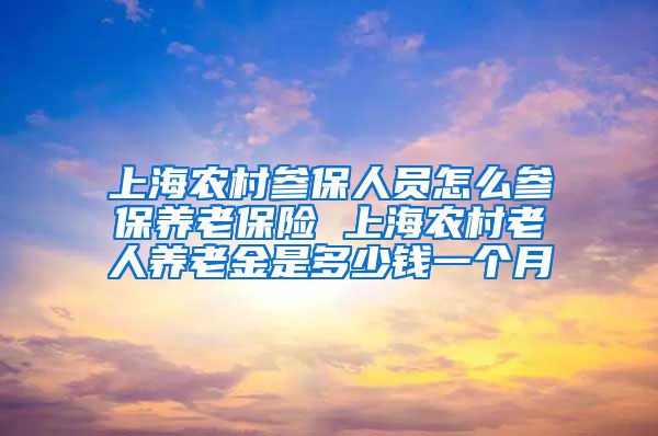 上海农村参保人员怎么参保养老保险 上海农村老人养老金是多少钱一个月