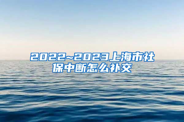 2022~2023上海市社保中断怎么补交