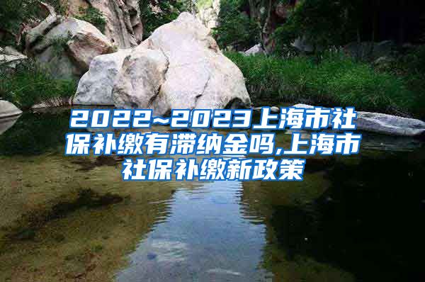 2022~2023上海市社保补缴有滞纳金吗,上海市社保补缴新政策