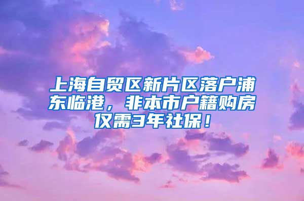 上海自贸区新片区落户浦东临港，非本市户籍购房仅需3年社保！