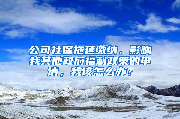 公司社保拖延缴纳，影响我其他政府福利政策的申请，我该怎么办？