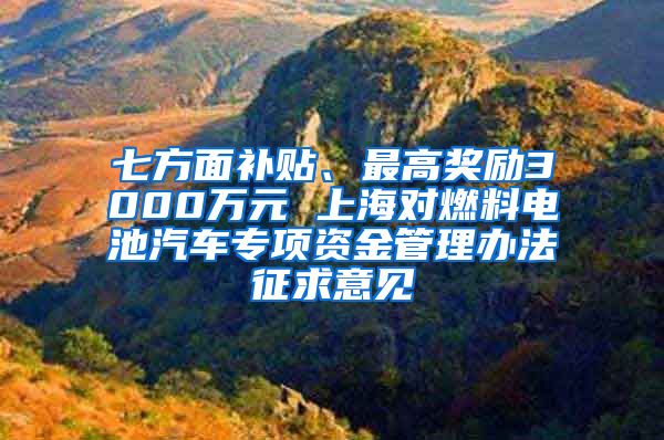 七方面补贴、最高奖励3000万元 上海对燃料电池汽车专项资金管理办法征求意见