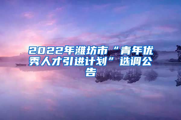 2022年潍坊市“青年优秀人才引进计划”选调公告